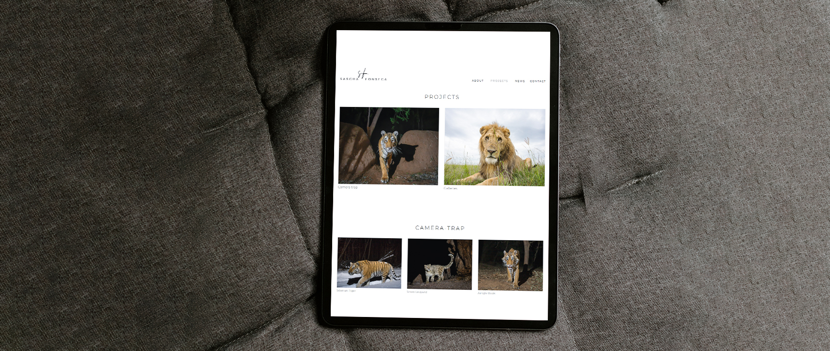 Case study design
