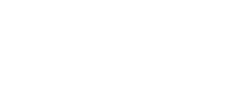 Ferns Management Consultant logo